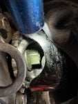 IMG_9518.jpeg